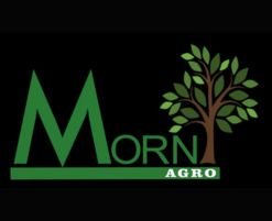Client logo